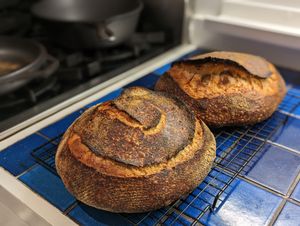 Two loaves of bread out of the oven