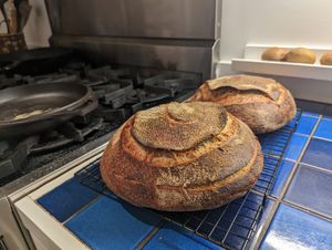 Two loaves of bread
