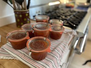 Canned apricots