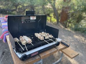 Chicken kebabs on a camp stove