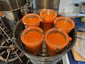 Jars of sauce ready for canning